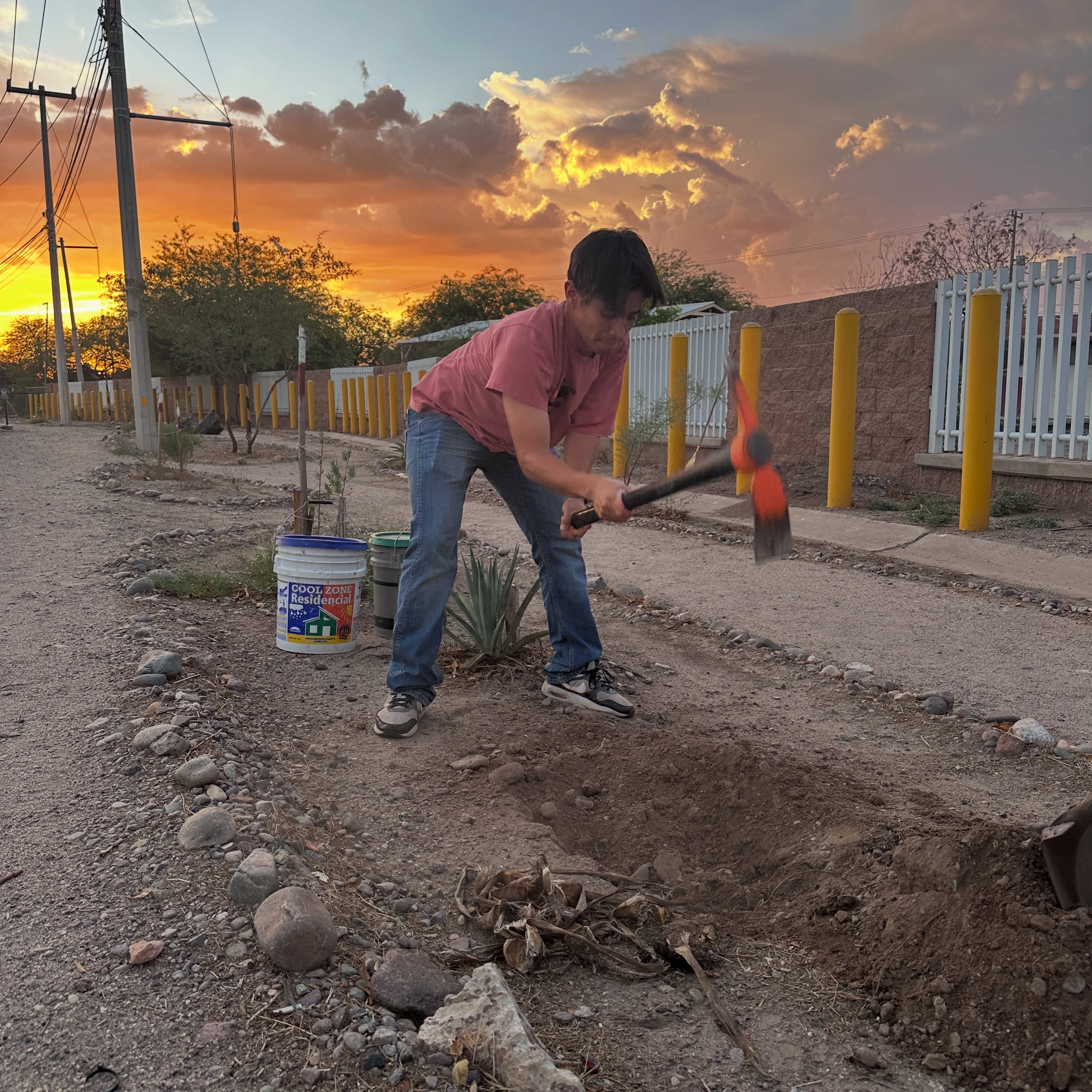 Proyecto Verbena